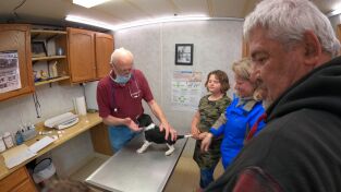 El increíble doctor Pol: Marco Pol-O