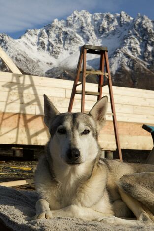Construyendo Alaska: Una vida de percances