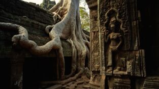 Tesoros perdidos de Angkor: el antiguo Laos al descubierto: El descubrimiento