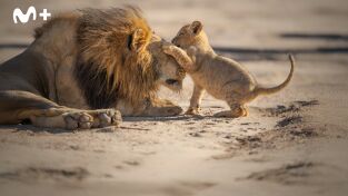 Cómo se hizo Parenthood: Cómo se hizo Parenthood (episodio 1)