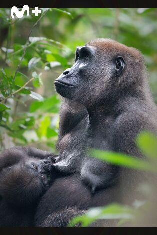 Cómo se hizo Parenthood: Cómo se hizo Parenthood (episodio 3)