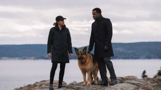 Hudson y Rex (T3): Ep.12 Perro jefe