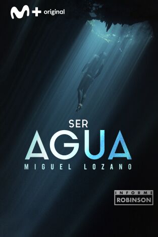 Informe Robinson (T3): Ser agua