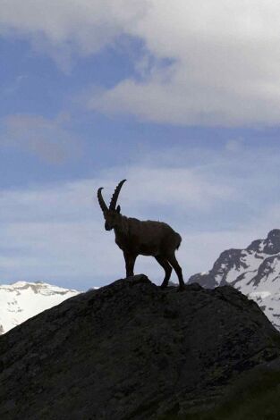 El tiempo de una vida