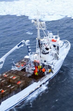 Pesca radical: Congelado