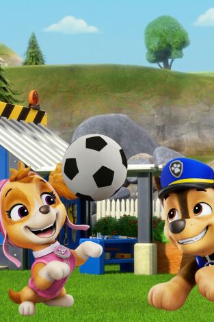 La patrulla canina (T13): Ep.1 La patrulla canina resuelve un porblema de protección / La patrulla salva a Helga y los Dingers