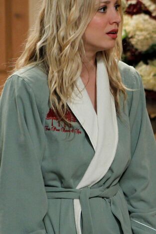 Big Bang (T4): Ep.13 El coche del amor