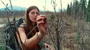 Desafío en los Northwoods: Regeneración