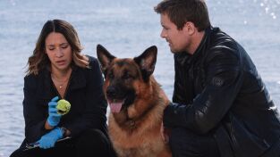 Hudson y Rex (T3): Ep.7 Cuestión de camada