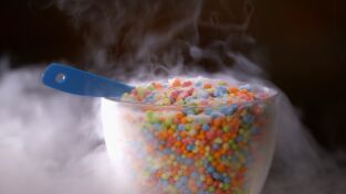 Food Factory USA: Tarta de zanahoria y helado