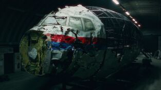 Asesinato en el aire: ¿Quién derribó el vuelo MH17?: El accidente
