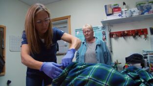 Una veterinaria todoterreno: Osos en el avión