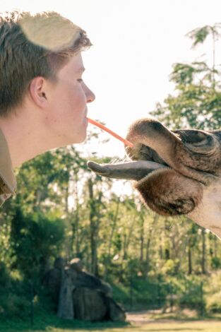 The Irwins: ¡Es una cría de jirafa!