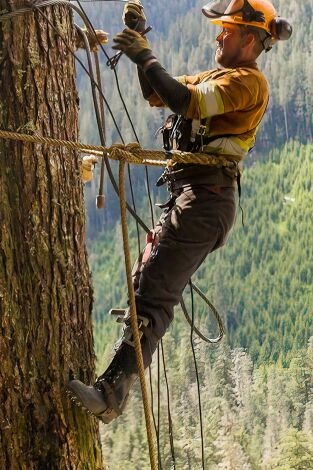 Los últimos leñadores: SI no puedes soportar el calor