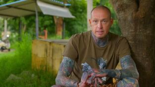 Lo mejor de Serpientes en la ciudad: Los "Cuatro grandes" de la India