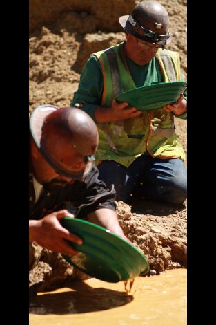La fiebre del oro: salvando la mina: El factor pepitas