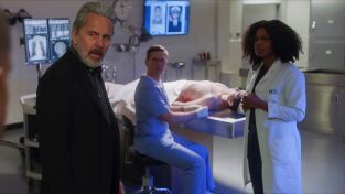 Navy: Investigación criminal (T20): Ep.14 Viejas Heridas