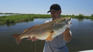 Los últimos gigantes: Episodio 5