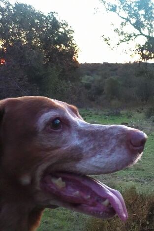 Dehesa el Campillo, una temporada atípica