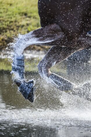 Hípica: Saut Hermès (T2026): Día 3