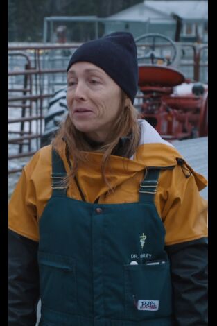 Una veterinaria todoterreno: No molestes al puercoespín durmiente