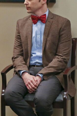 Big Bang (T9): Ep.18 El deterioro de la soledad