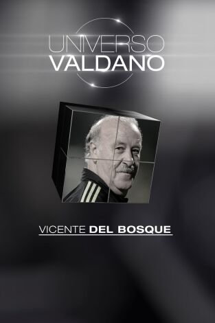 Universo Valdano (T3): Vicente del Bosque