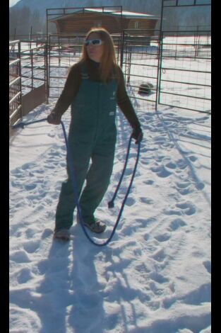 Una veterinaria todoterreno: Corriendo con renos