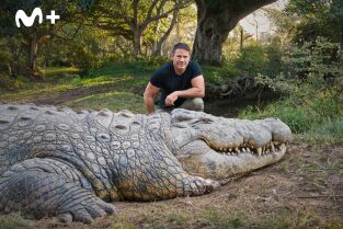 Hipopótamos y cocodrilos con Steve Backshall: Cocodrilos con Steve Backshall I