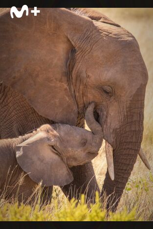 Parenthood: Episodio 4