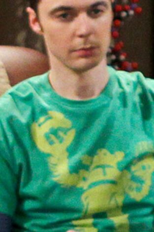 Big Bang (T5): Ep.2 La teoría de la plaga