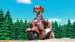 La Patrulla Canina (T10): Ep.10 El rescate en la montaña de Liberty / La patrulla salva a la granjera Yumi voladora