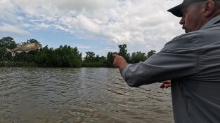 Los últimos gigantes: Episodio 6