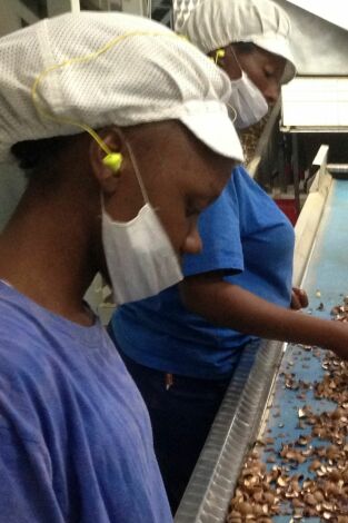 ¿Cómo lo hacen?: Episodio 13