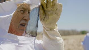 La increíble granja del Dr. Pol: El campo de heno soñado