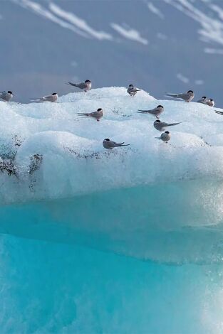 Islandia. El despertar de la vida