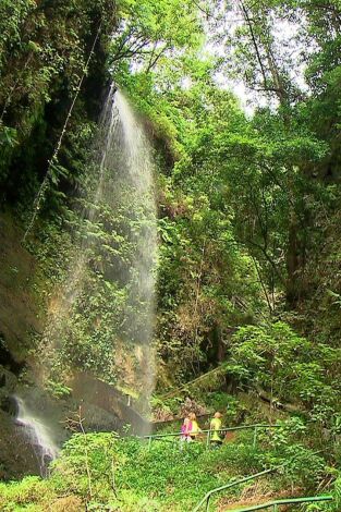 El escarabajo verde: Misma ría, distintas aguas