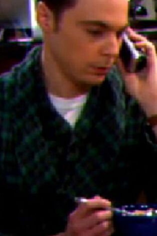 Big Bang (T4): Ep.15 El factor benefactor