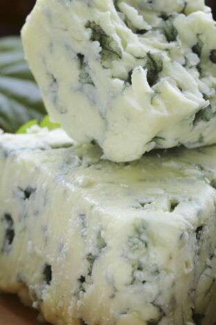 ¿Cómo lo hacen?: Camiones Wrecker / Roquefort / Traslado de árboles