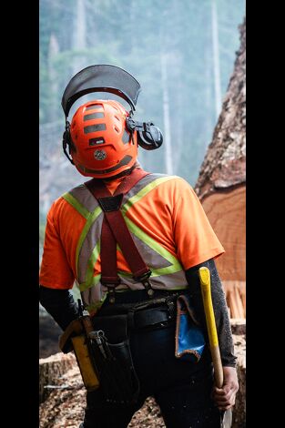 Los últimos leñadores: El rey de la costa