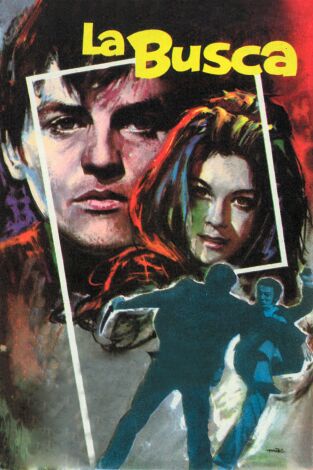 La busca