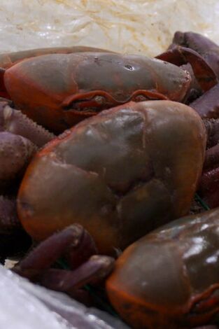 Control de fronteras: España: Episodio 1