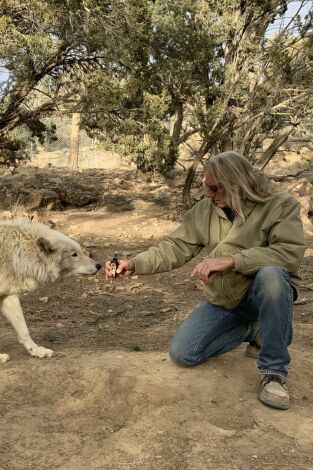 ¿Cómo lo hacen? Mundo animal: Secretos en blanco y negro