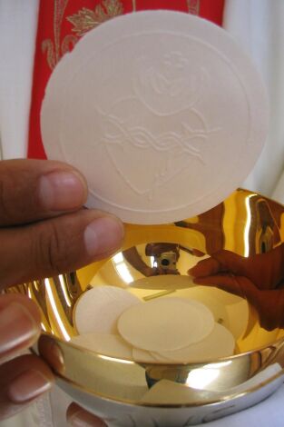 El día del señor: Domingo de Ramos en la Basílica de San Pedro