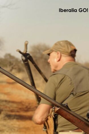 Sudáfrica la pasión por lo perfecto con gpo