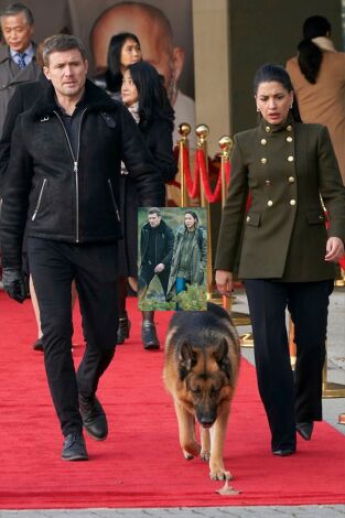 Hudson y Rex (T4): Ep.12 Ningún hombre es una isla