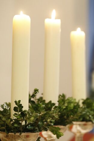 Semana Santa en Castilla y León: Procesión del Santísimo Cristo de Burgos