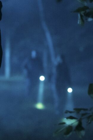 Este bosque está embrujado: Lo veo aterrizar