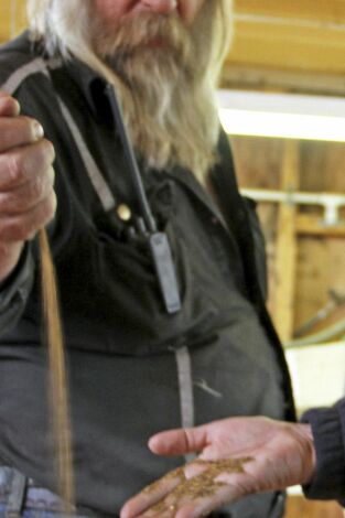 La fiebre del oro: El reparto más cruel