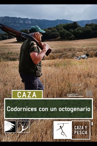 Codornices con un octogenario